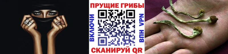 как найти закладки  Лагань  omg зеркало  Галлюциногенные грибы MAGIC MUSHROOMS 